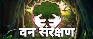 8 से 8 मई तक चलेगा वन व वन्य जीव सुरक्षा माह