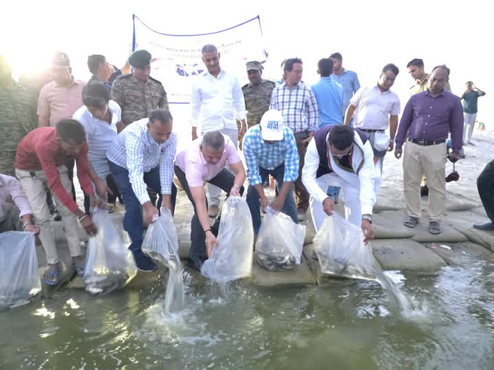 सिफरी ने संगम में छोड़े मत्स्य बीज