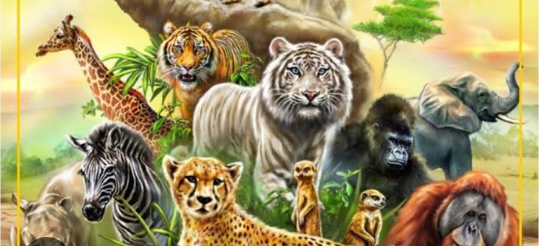 योगी सरकार ने मानव-वन्यजीव संघर्ष रोकने को तैयार की चेनलिंक और सोलर फेंसिग