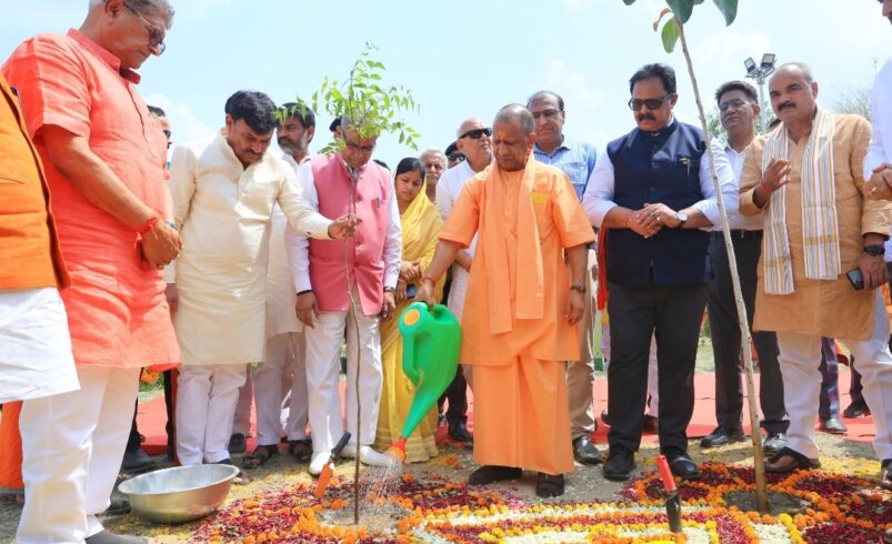 विश्व पर्यावरण दिवस पर सीएम योगी ने किया पौधरोपण