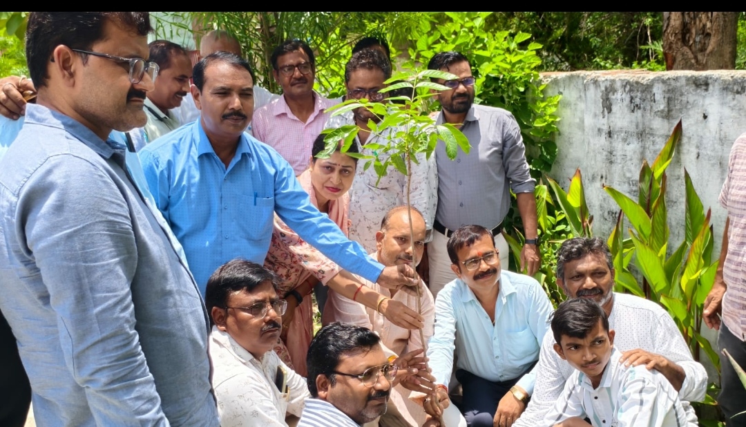 शिक्षिका मधु गौतम की स्मृति में टीचर्स सेल्फ केयर टीम ने किया पौधारोपण