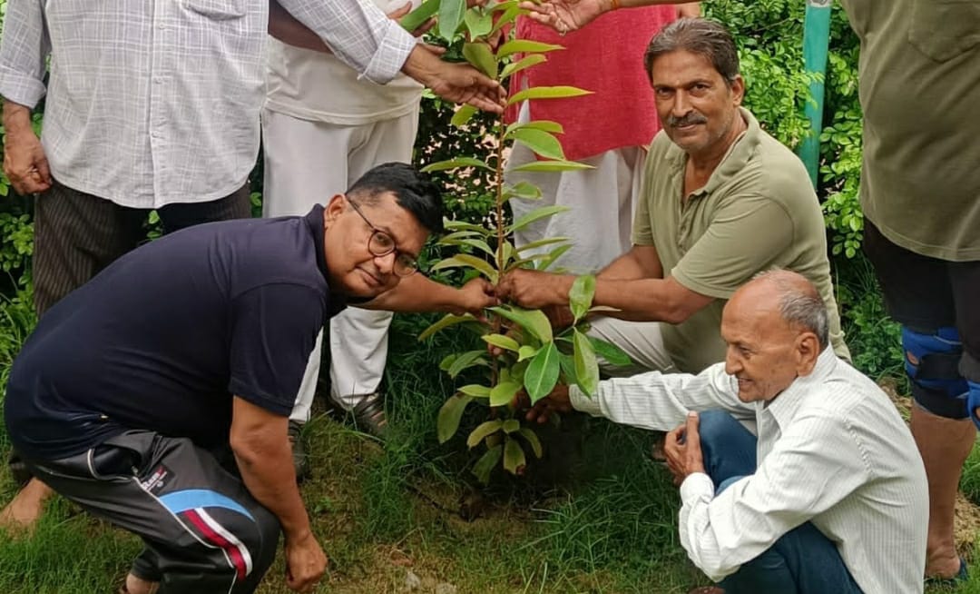 समिति महासचिव राजेन्द्र अवस्थी के मार्गदर्शन में एक पेड़ मां के नाम